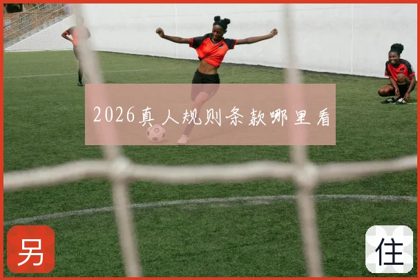 2026真人规则条款哪里看